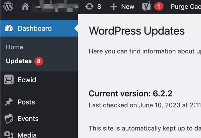 wordpress update service infinity3